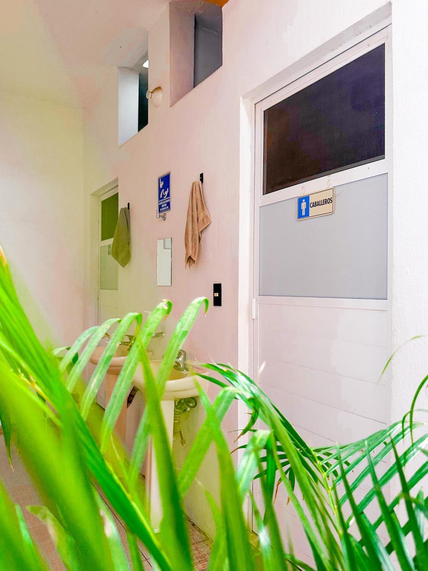Habitacionez Hvuz Oaxaca Экстерьер фото