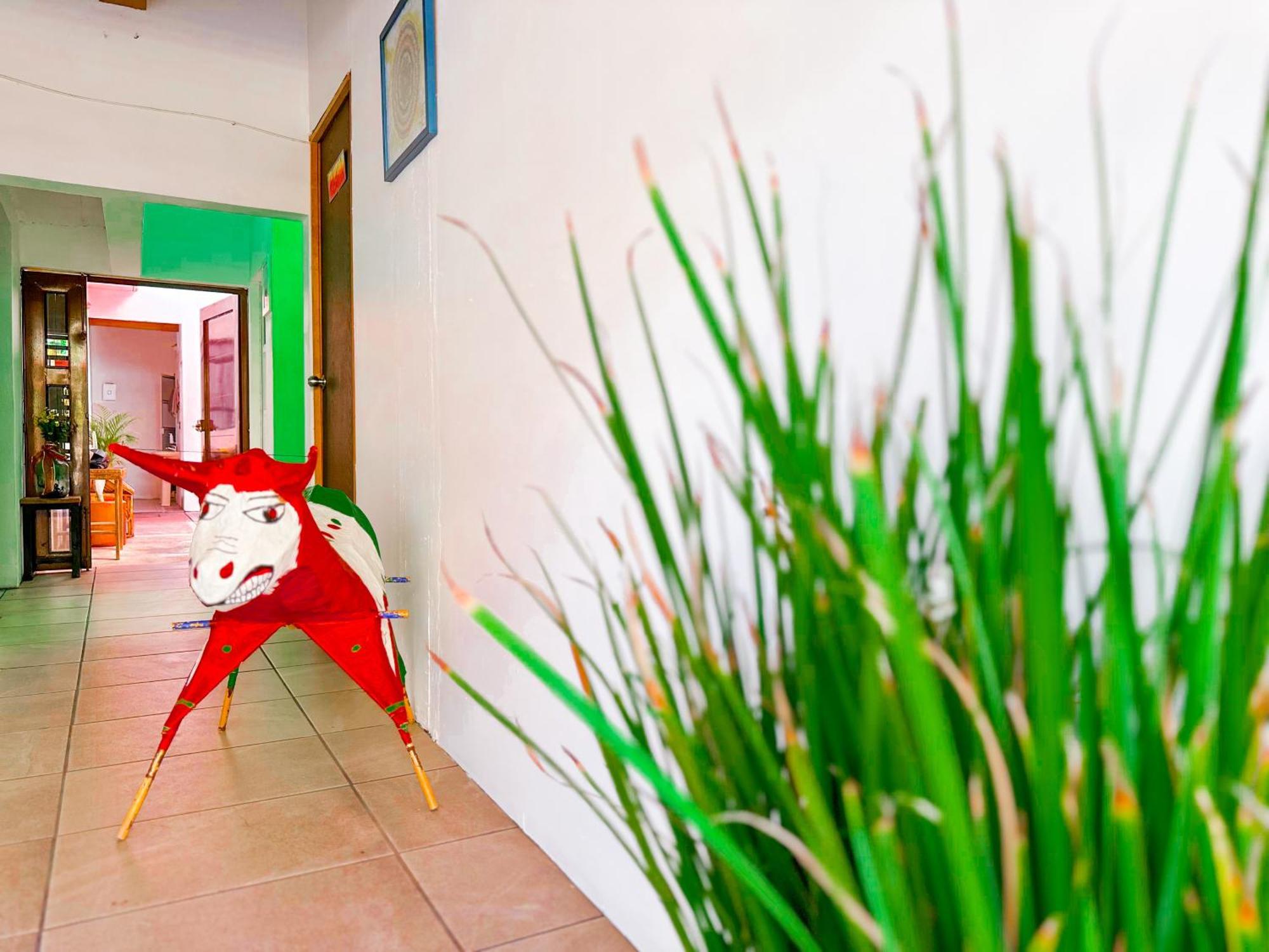 Habitacionez Hvuz Oaxaca Экстерьер фото