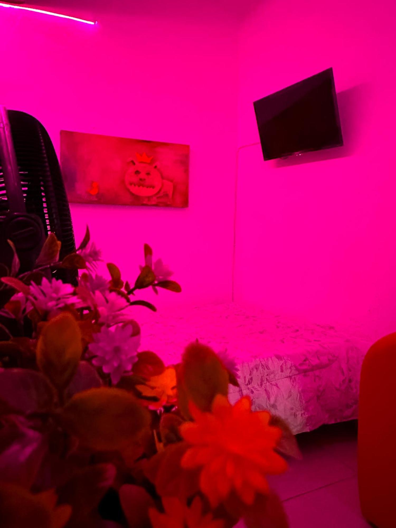 Habitacionez Hvuz Oaxaca Экстерьер фото